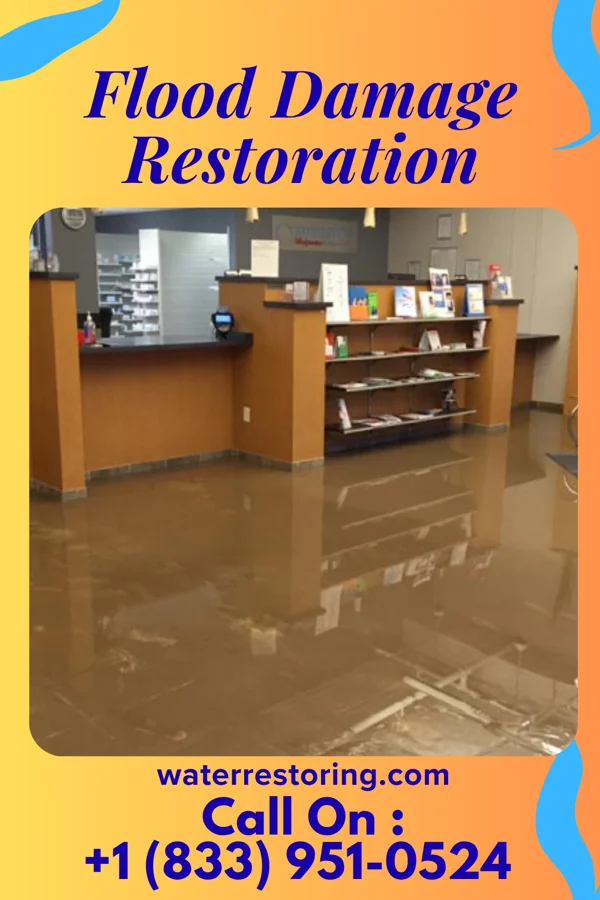 Flood Damage Restoration in Straughn, IN