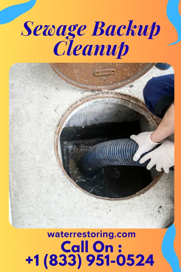 Sewage Backup Cleanup in Straughn, IN